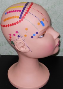 tête 2